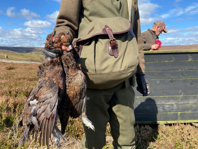 Grouse Shooting in the 21st Century