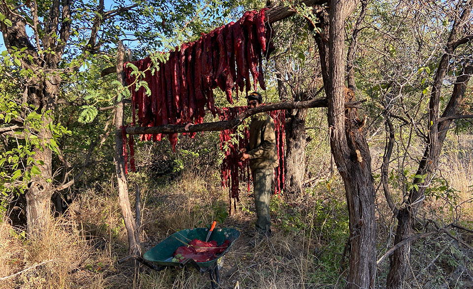 Elephnat meat drying in the air.