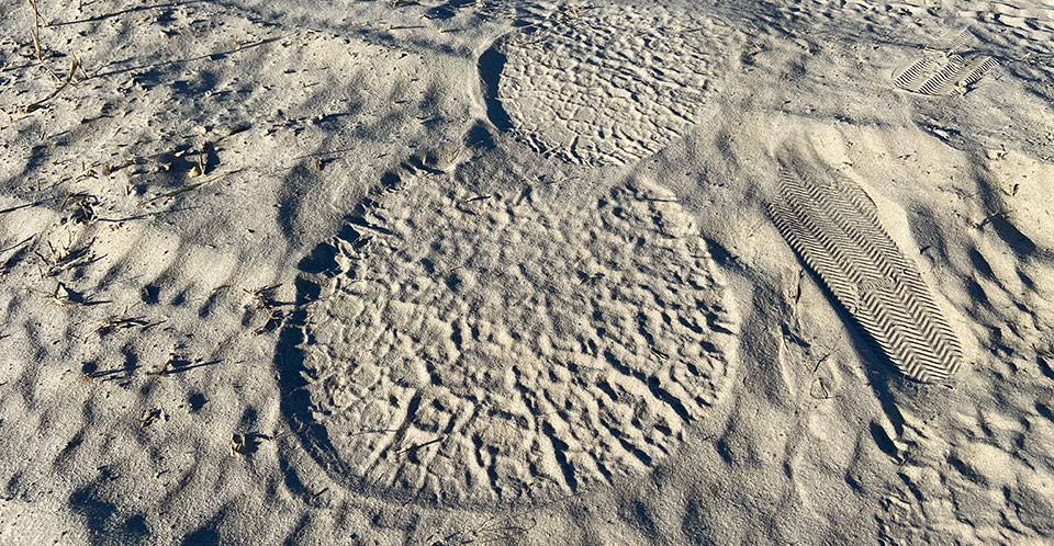 Footprints in the sand.