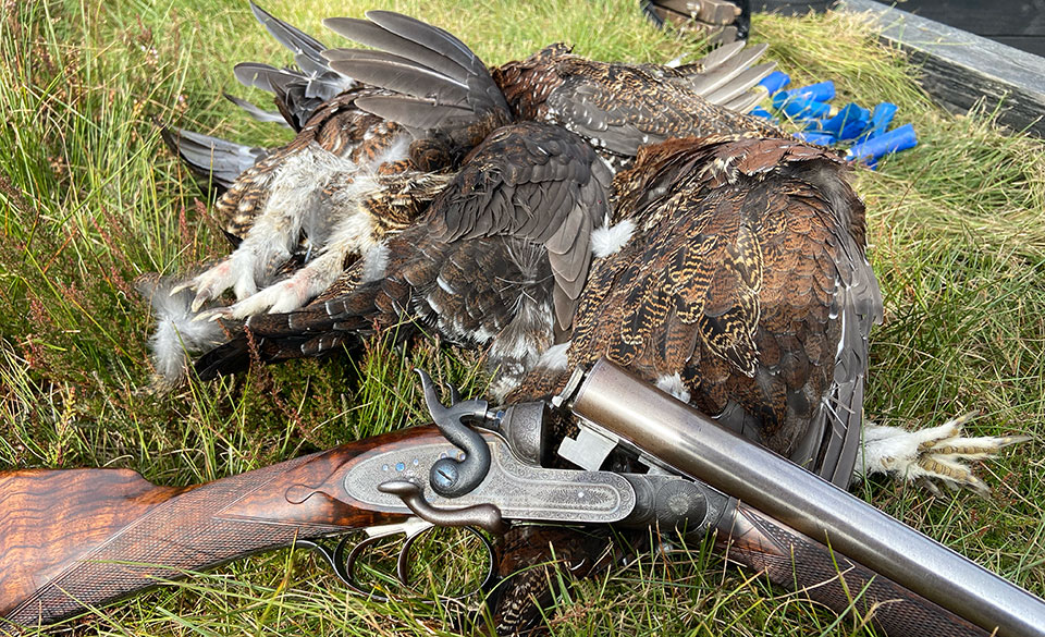 A scene as old as driven shooting. Shooting responsibly has ensured the grouse's survival.